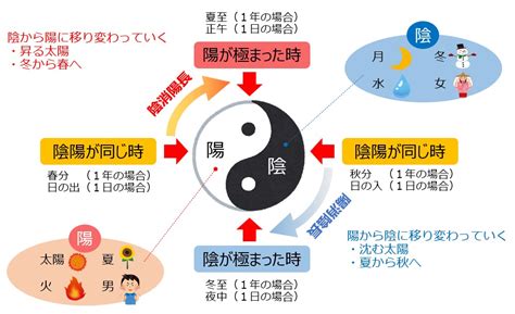 陽男陰女|陰男、陽男、陰女、陽女